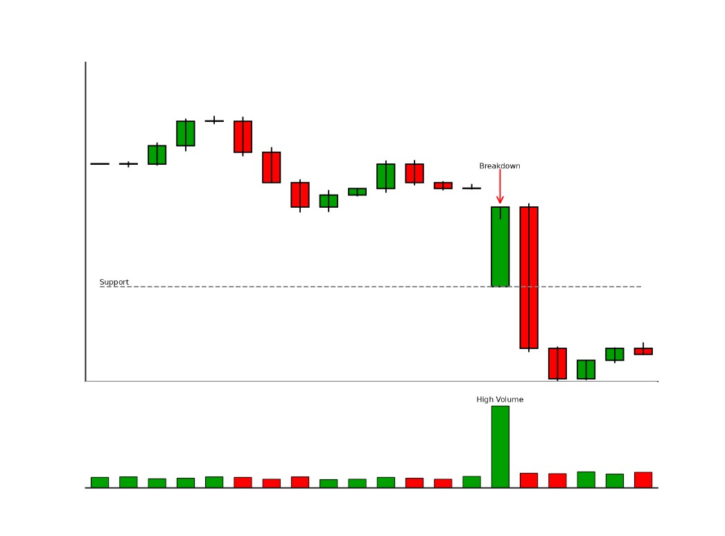 코인 세력의 증거, 어떤 신호들이 있을까?