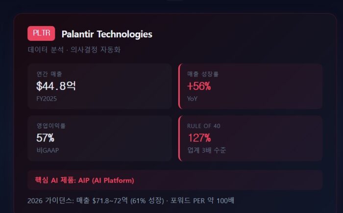 미국을 이끄는 AI 소프트웨어 관련주, 어떤 것들이 있을까? 12 팔란티어